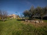 Amelia _ Prestigiosa villa in pietra ristrutturata nel cuore dell'Umbria