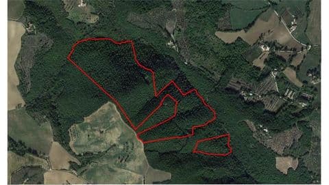Terreno Boschivo Todi
