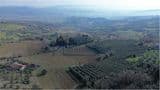 Villa in Pietra 300 mq con 2ha di terreno _ Uliveto _ Piscina