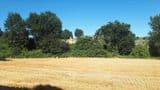 Casale l'Edera - in pietra, da ristrutturare
