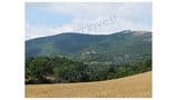 Casale Viviane
