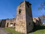 Torre Assignano
