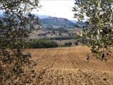 Terreno Agricolo