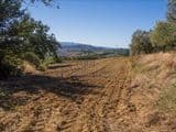 Terreno Agricolo