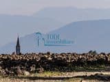 Amelia _ Prestigiosa villa in pietra ristrutturata nel cuore dell'Umbria