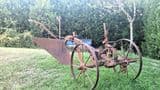 Amelia - Casale ristrutturato 250 mq  con Piscina e oliveto