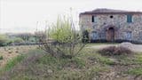 Casale l'Edera - in pietra, da ristrutturare