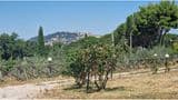 Splendida Villa 300 Mq ecosostenibile, vista Todi