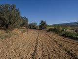 Terreno Agricolo