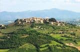 Porzione di Bifamiliare con terreno esclusivo.