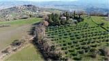 Villa in Pietra 300 mq con 2ha di terreno _ Uliveto _ Piscina