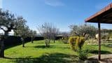 Amelia _ Prestigiosa villa in pietra ristrutturata nel cuore dell'Umbria