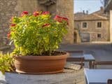 Via Cortesi 94, 06059 Todi (PG)
