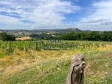 Casale da ristrutturare in posizione panoramica