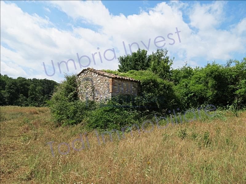 Casale Viviane