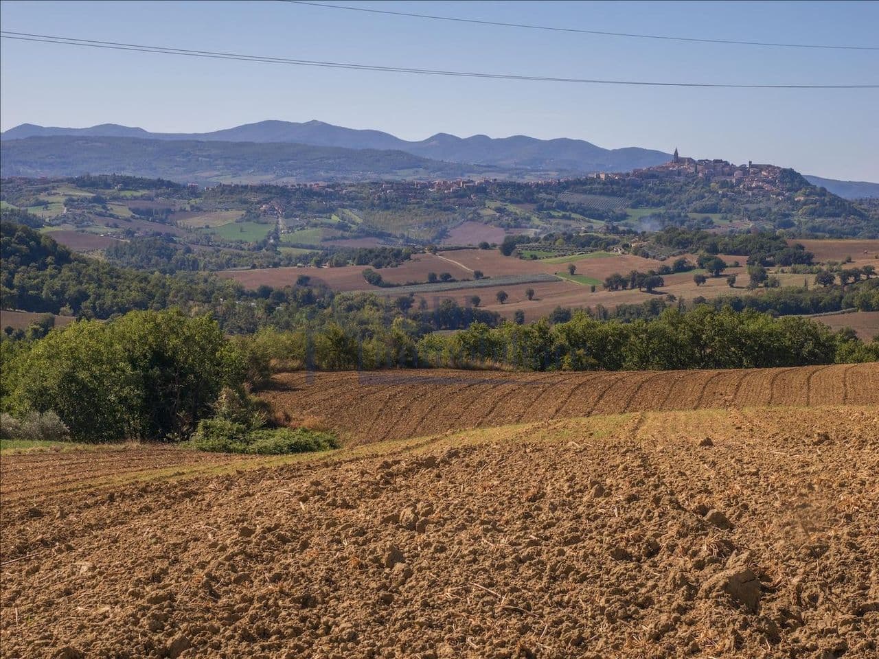 Terreno Agricolo