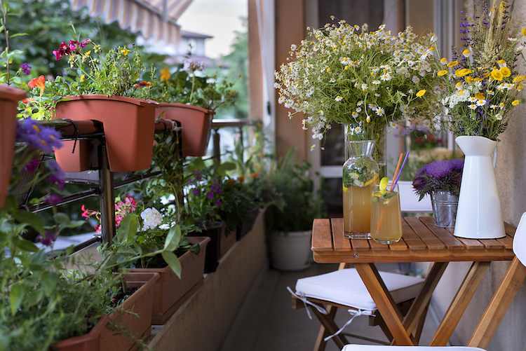 Un balcone ricco di fioriere e di verde