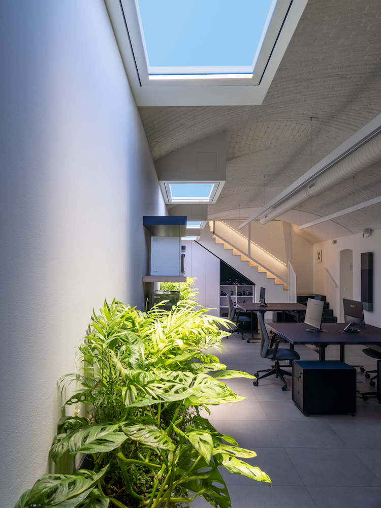 Luce naturale Coelux